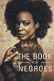 hd-The Book of Negroes