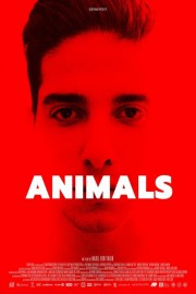 hd-Animals