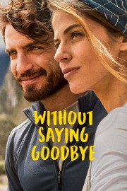 hd-Without Saying Goodbye