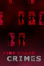 hd-Pink Collar Crimes