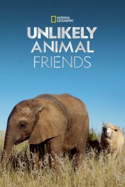 hd-Unlikely Animal Friends