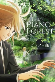 hd-The Piano Forest