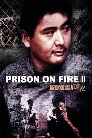 hd-Prison on Fire II