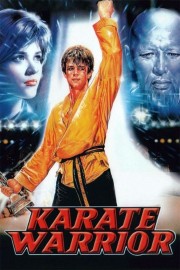 hd-Karate Warrior