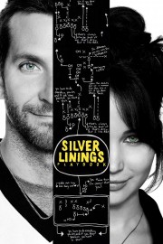hd-Silver Linings Playbook