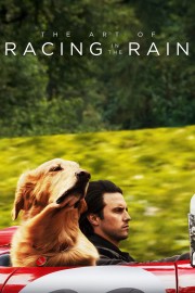 hd-The Art of Racing in the Rain