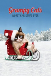 hd-Grumpy Cat's Worst Christmas Ever