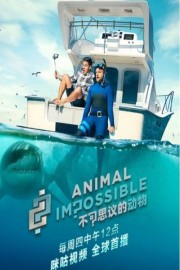 hd-Animal Impossible