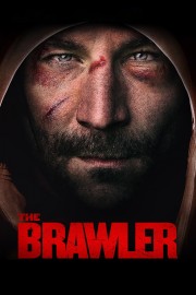 hd-The Brawler
