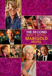 hd-The Second Best Exotic Marigold Hotel