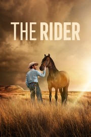 hd-The Rider