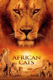 hd-African Cats