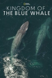 hd-Kingdom of the Blue Whale
