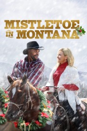 hd-Mistletoe in Montana