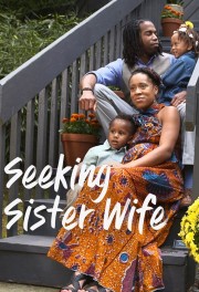 hd-Seeking Sister Wife