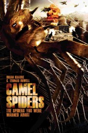 hd-Camel Spiders
