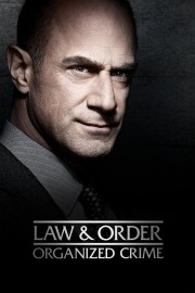 hd-Law & Order: Organized Crime