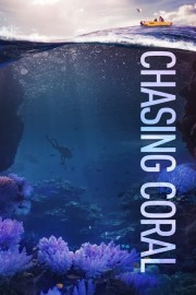 hd-Chasing Coral