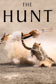hd-The Hunt