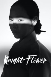 hd-Knight Flower