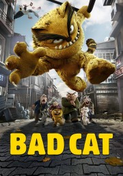 hd-Bad Cat