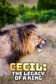 hd-Cecil: The Legacy of a King