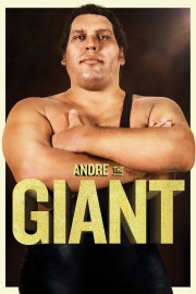 hd-Andre the Giant