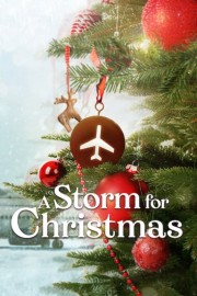 hd-A Storm for Christmas