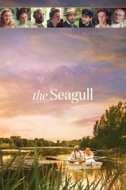 hd-The Seagull