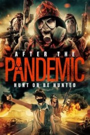 hd-After the Pandemic