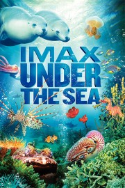 hd-Under the Sea 3D