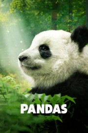 hd-Pandas