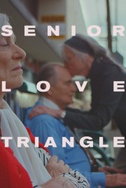 hd-Senior Love Triangle