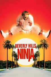 hd-Beverly Hills Ninja