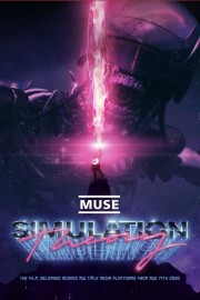 hd-Muse: Simulation Theory
