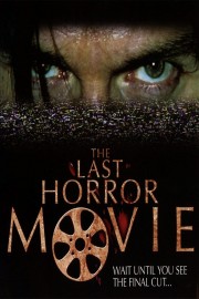 hd-The Last Horror Movie