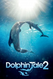 hd-Dolphin Tale 2
