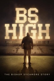 hd-BS High