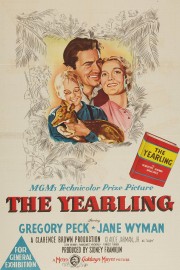hd-The Yearling