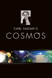 hd-Cosmos: A Personal Voyage
