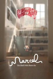 hd-Marcel the Shell with Shoes On