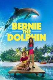 hd-Bernie the Dolphin