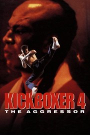 hd-Kickboxer 4: The Aggressor