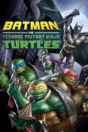 hd-Batman vs. Teenage Mutant Ninja Turtles