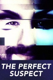 hd-The Perfect Suspect