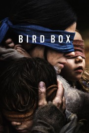 hd-Bird Box
