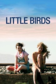 hd-Little Birds