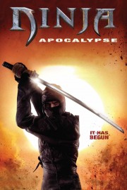 hd-Ninja Apocalypse
