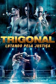hd-The Trigonal: Fight for Justice