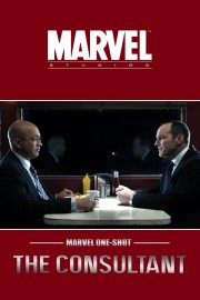 hd-Marvel One-Shot: The Consultant